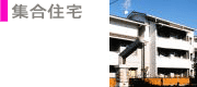 WZ